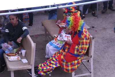 DSC_1440 (Large).JPG